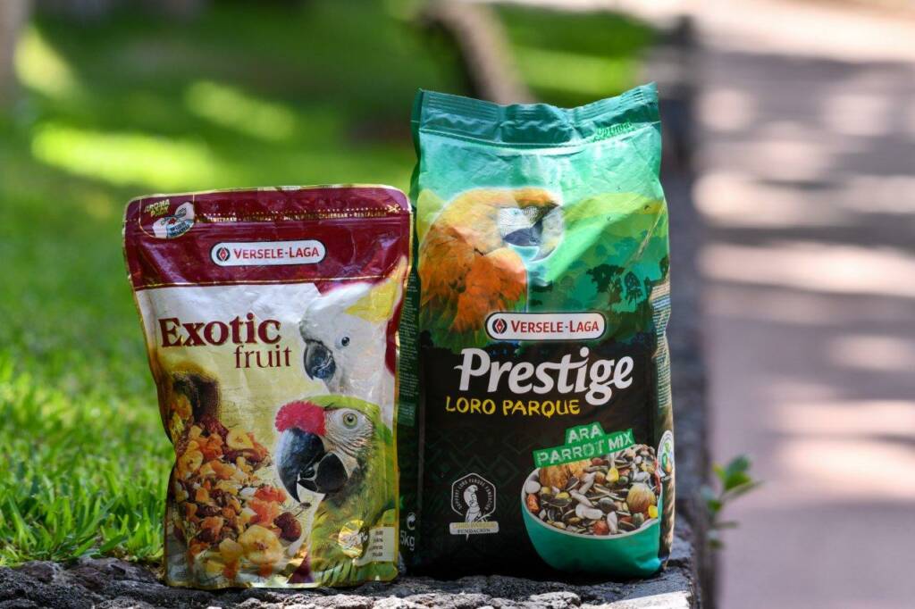 Animal feed manufacturer Versele-Laga and Loro Parque celebrate 18 years of  collaboration • Loro Parque Fundación