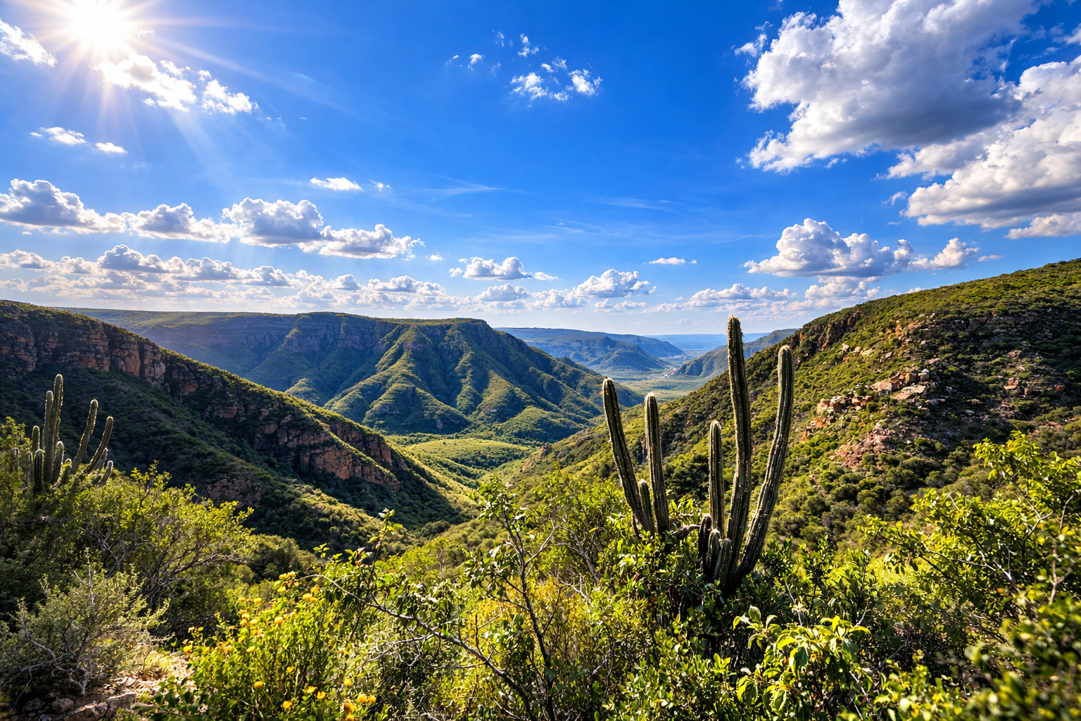 Paisaje de la Caatinga con montañas verdes, vegetación semiárida y cactus bajo un cielo azul con nubes dispersas.