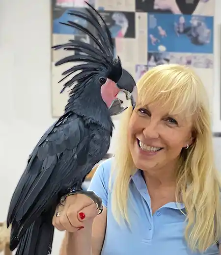 Heike Mundt
