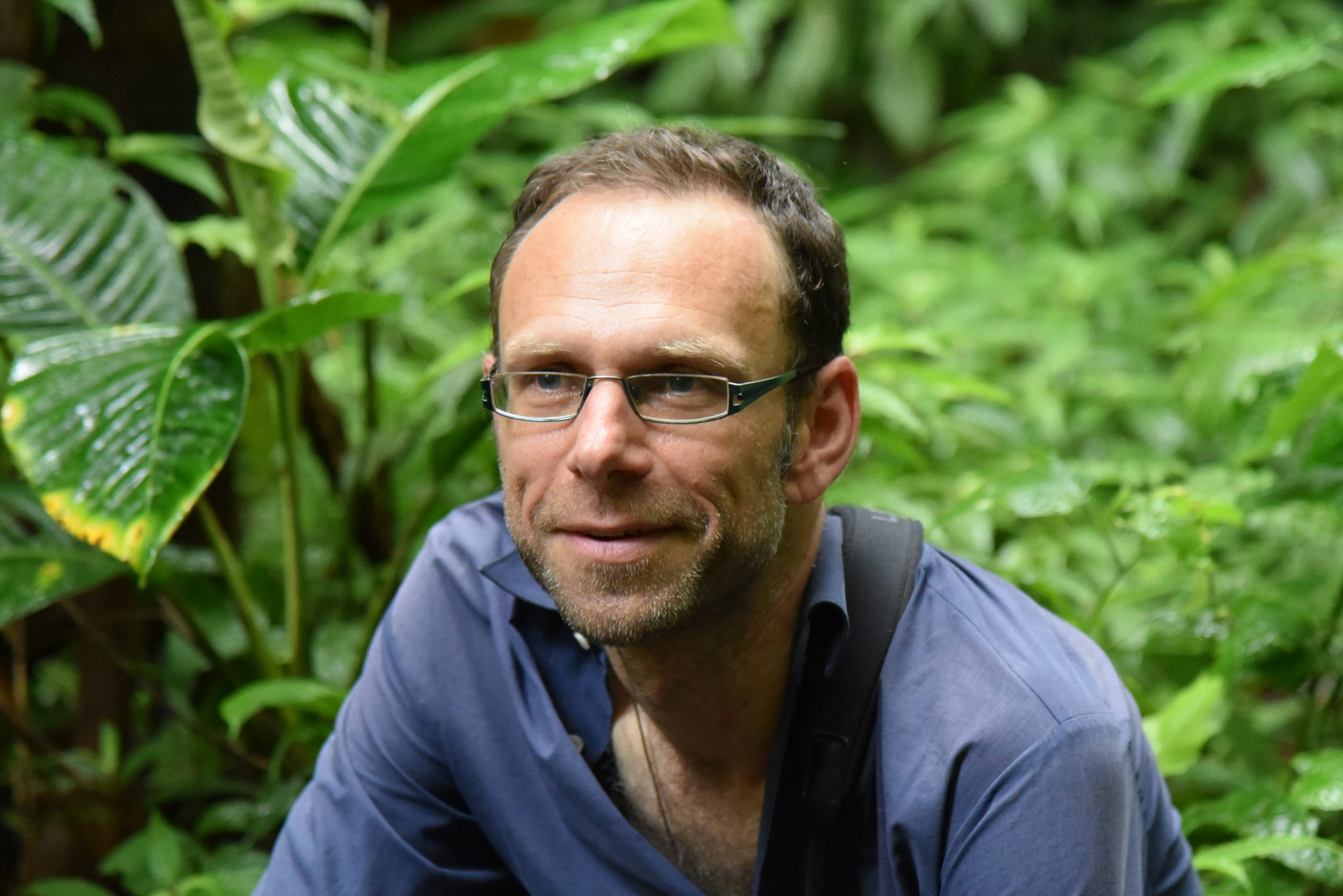 Dr. Martin Schaefer