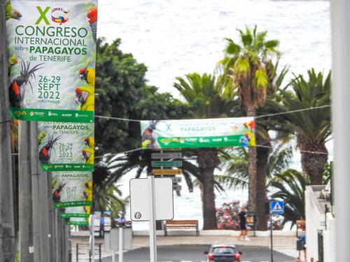 Loro-Parque-celebra-el-X-Congreso-Internacional-de-Papagayos-de-Tenerife-2